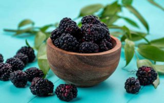 15 Manfaat Buah Blackberry untuk Kesehatan