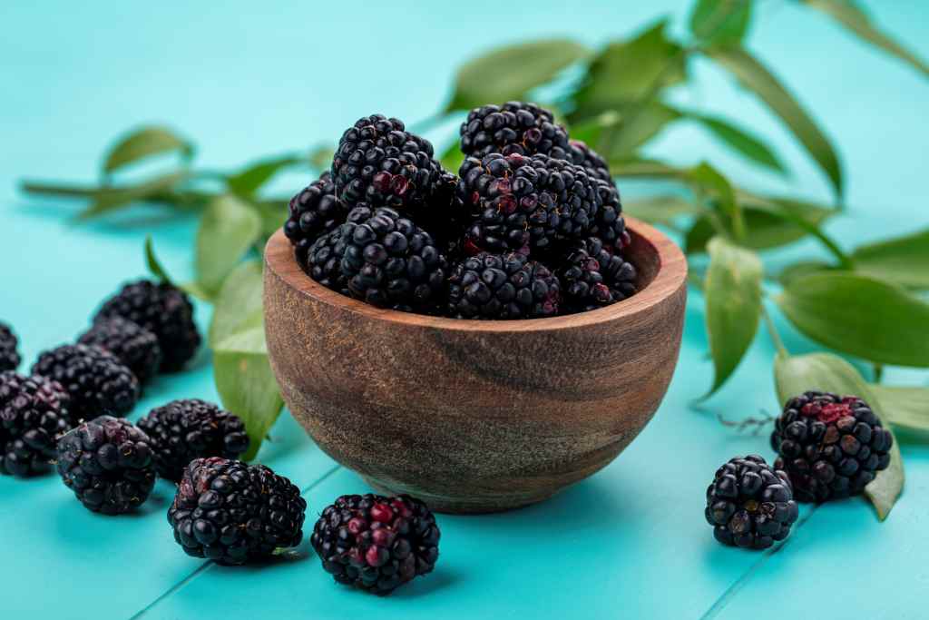 15 Manfaat Buah Blackberry untuk Kesehatan