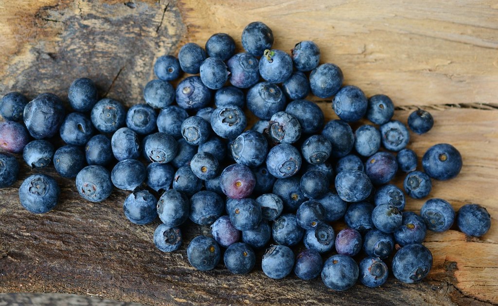 9 Manfaat Acai Berry Beserta Efek Sampingnya