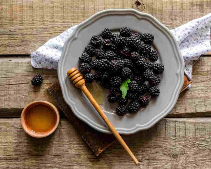 manfaat-buah-blackberry-doktersehat