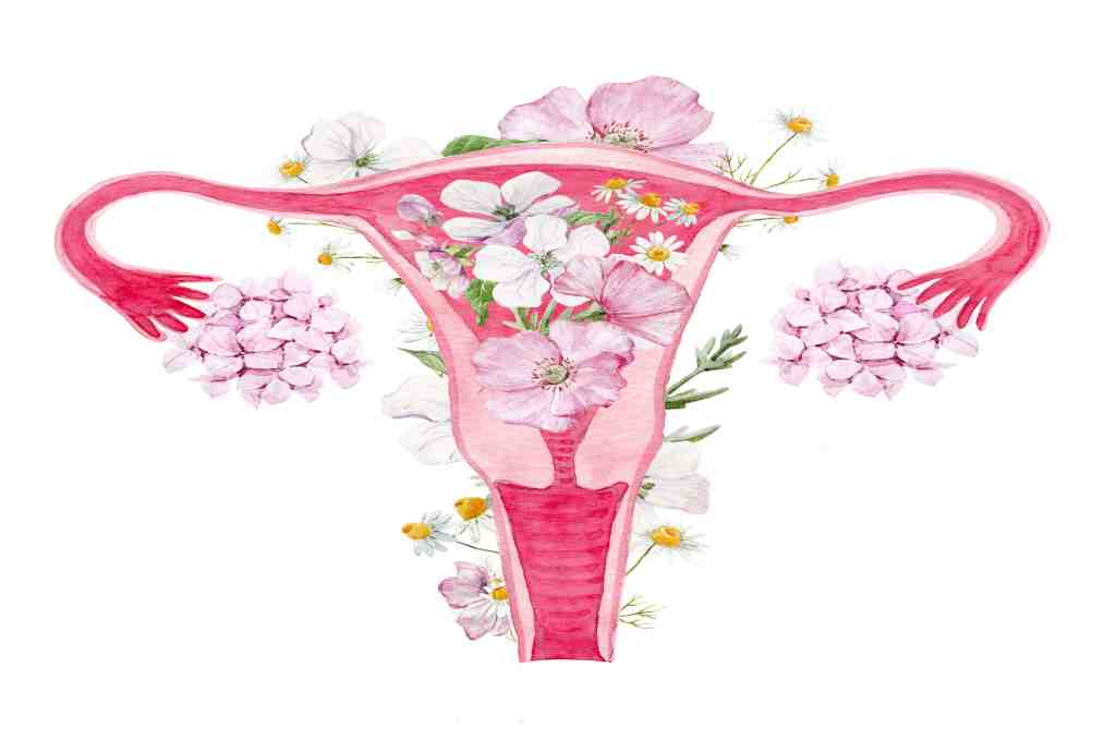 Bentuk Vagina Normal dan Sehat – Ciri-Ciri, Perawatan, dll