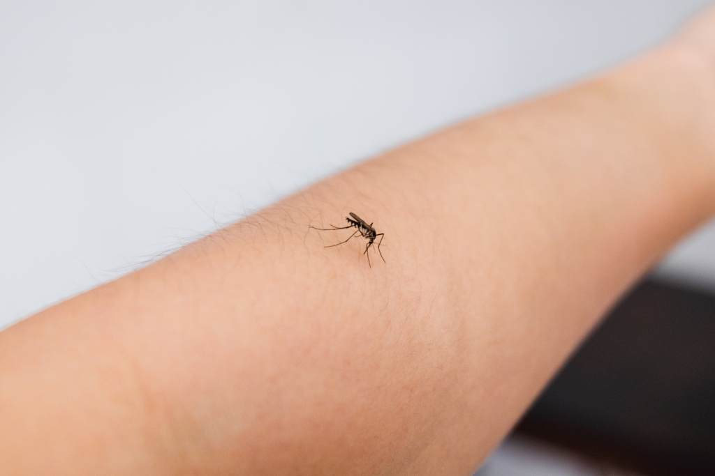 Penyebab Nyamuk Suka Menggigit Ibu Hamil dan Pencegahannya