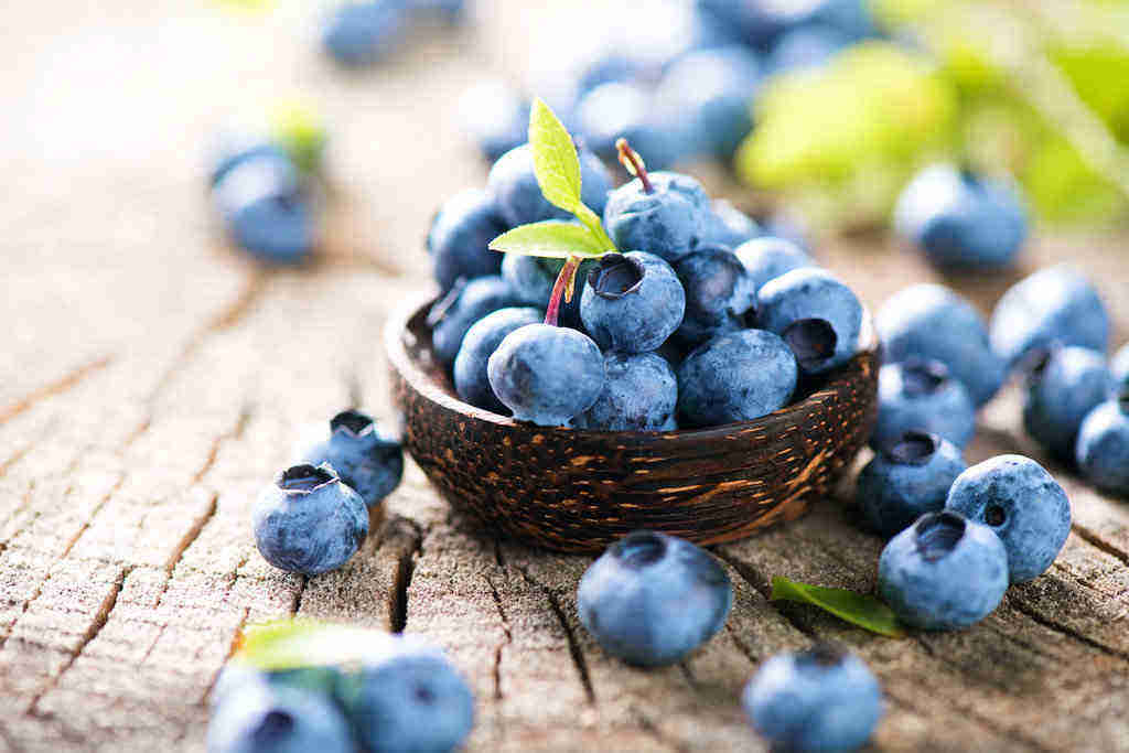15 Manfaat Blueberry bagi Kesehatan Tubuh