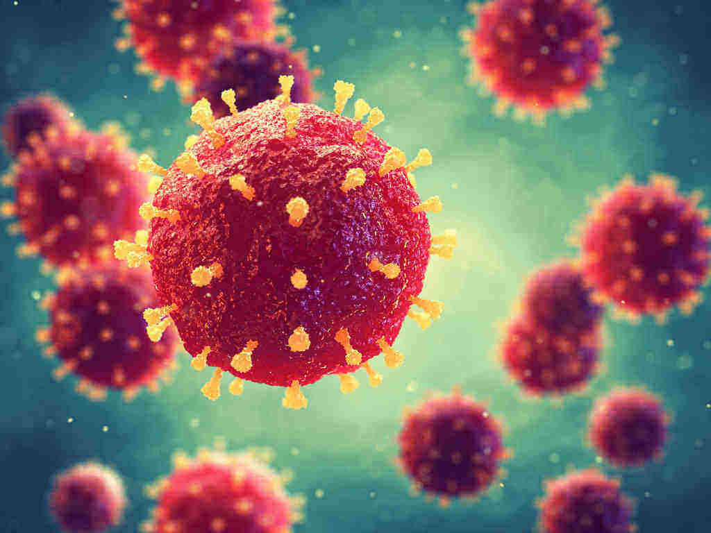 Virus: Struktur, Klasifikasi, Jenis Infeksi, dll