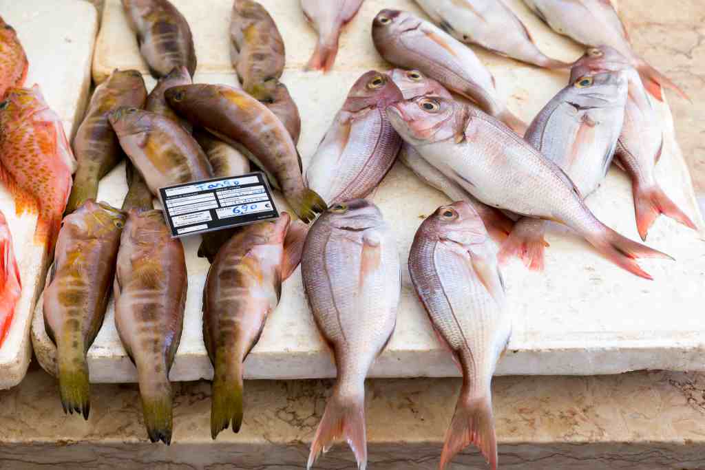Hobi Makan Ikan Bisa Turunkan Risiko Asma