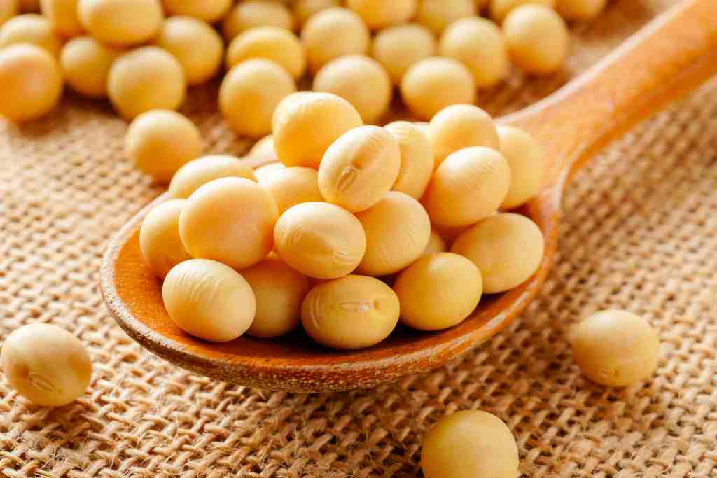 Benarkah Kacang Kedelai Bisa Menurunkan Risiko Kanker Payudara?