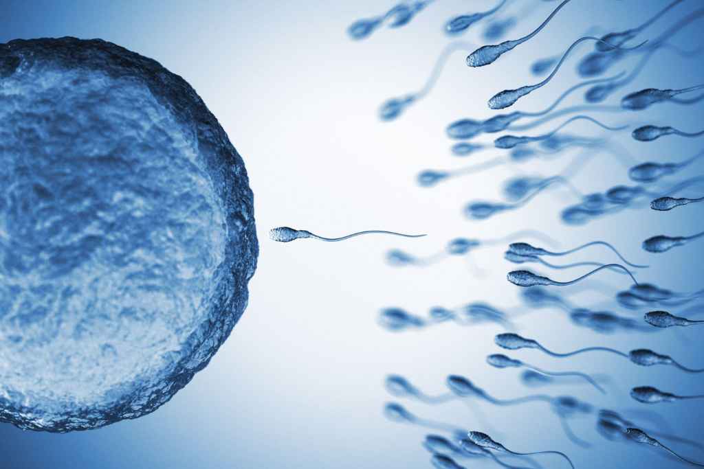 5 Cara Meningkatkan Pergerakan (Motilitas) Sperma, Pria Perlu Tahu