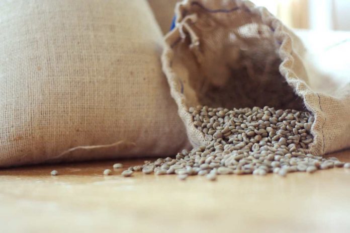 kopi-hijau-doktersehat kopi-hijau-doktersehat