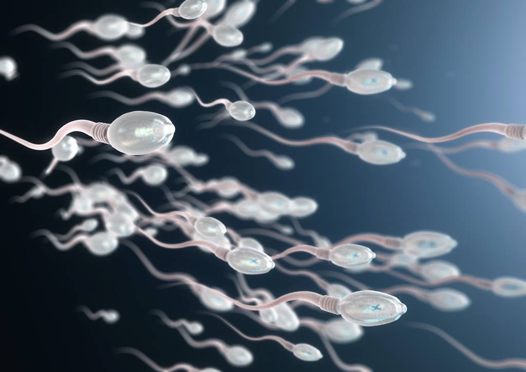 7 Tips Meningkatkan Pergerakan Sperma agar Cepat Hamil