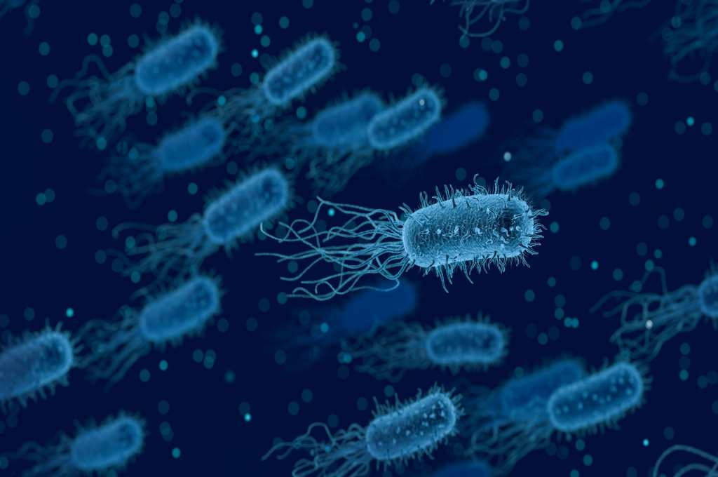 18 Penyakit yang Disebabkan oleh Bakteri (Harus Diwaspadai)
