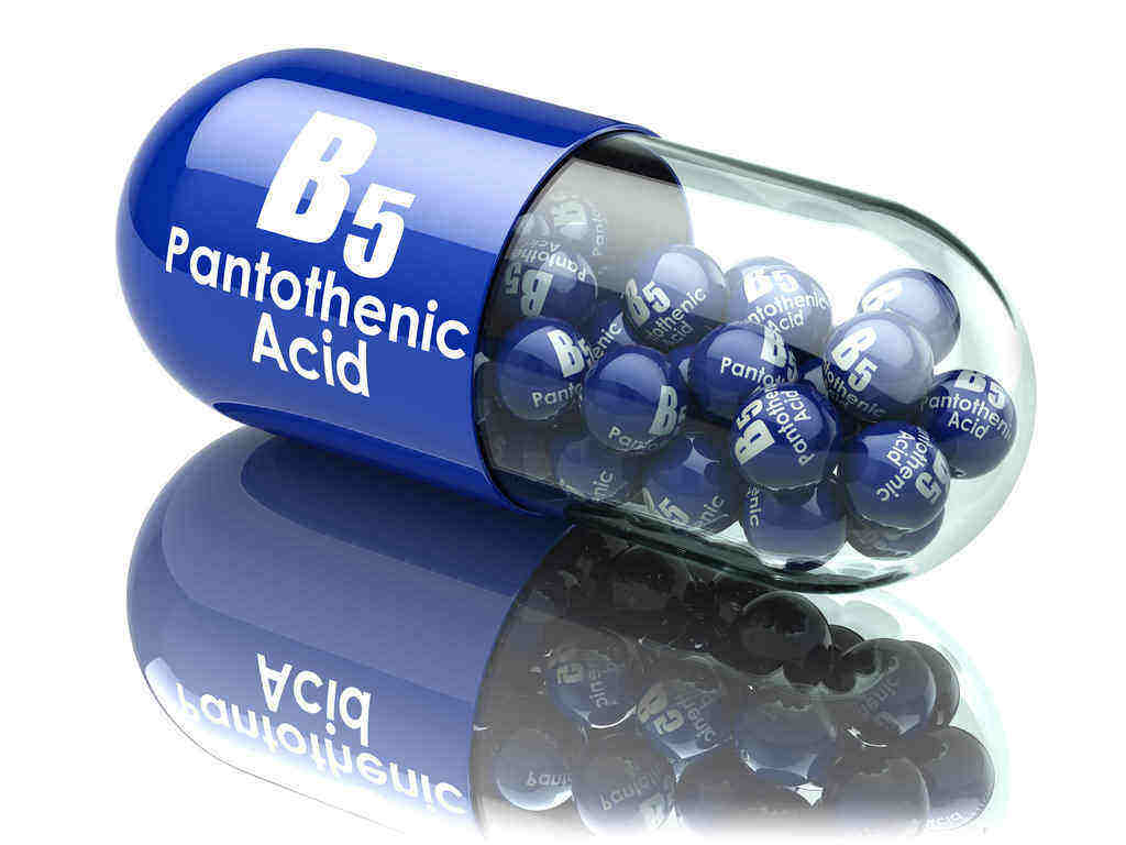 Asam Pantotenat (Vitamin B5): Manfaat dan Dosis