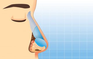 Hidung: Fungsi, Anatomi, Risiko Penyakit