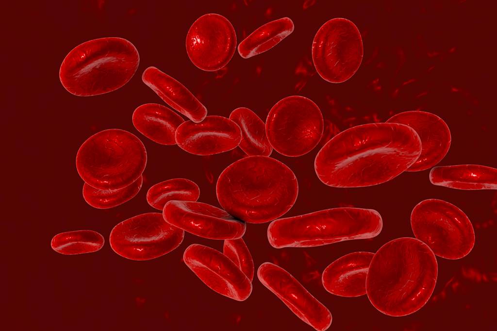 Efek Penurunan Kadar Darah di dalam Tubuh