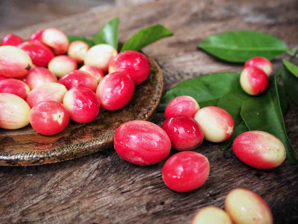 Miracle Fruit, Buah Pengubah Rasa yang Bermanfaat untuk Kesehatan