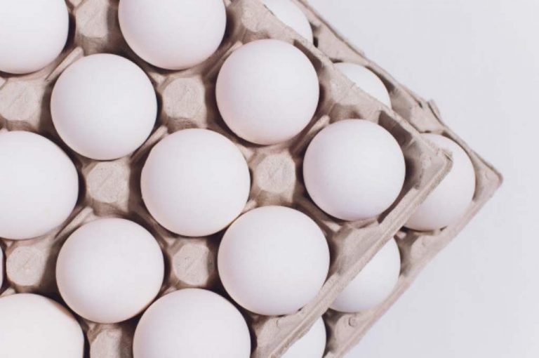 11 Manfaat Telur Ayam Kampung bagi Kesehatan (Lengkap)