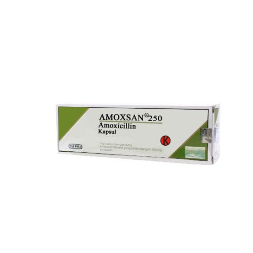 Amoxsan 250 Mg Kapsul