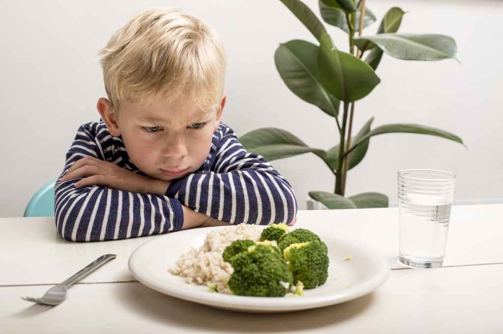 8 Penyebab Anak Susah Makan dan Cara Mengatasinya