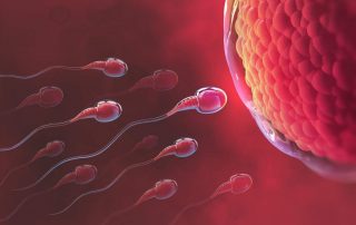 Spermatozoa: Morfologi, Kualitas, Tingkat Kesuburan, dll