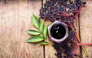 10 Manfaat Elderberry bagi Kesehatan dan Kandungannya