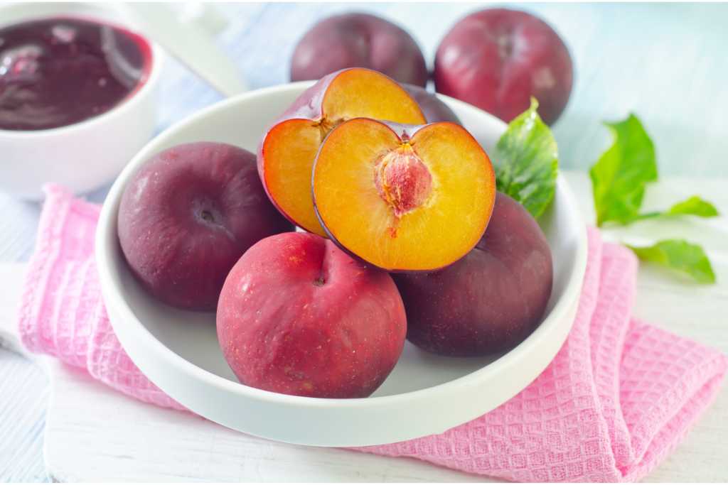 9 Manfaat Buah Plum untuk Kesehatan Tubuh