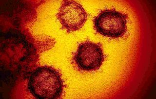 13 Istilah Terkait Virus Corona (COVID-19) Beserta Artinya
