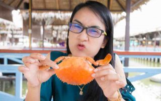 11 Manfaat Kepiting bagi Kesehatan (Nutrisi Lengkap)