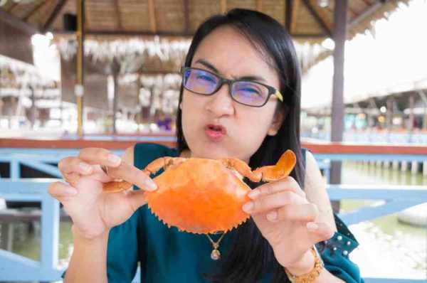 11 Manfaat Kepiting Bagi Kesehatan Nutrisi Lengkap