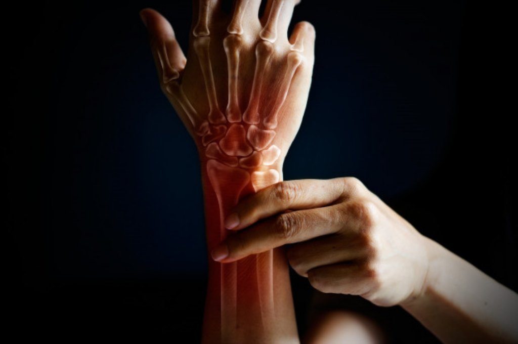 6 Fungsi Tulang Pergelangan Tangan (Anatomi Lengkap)