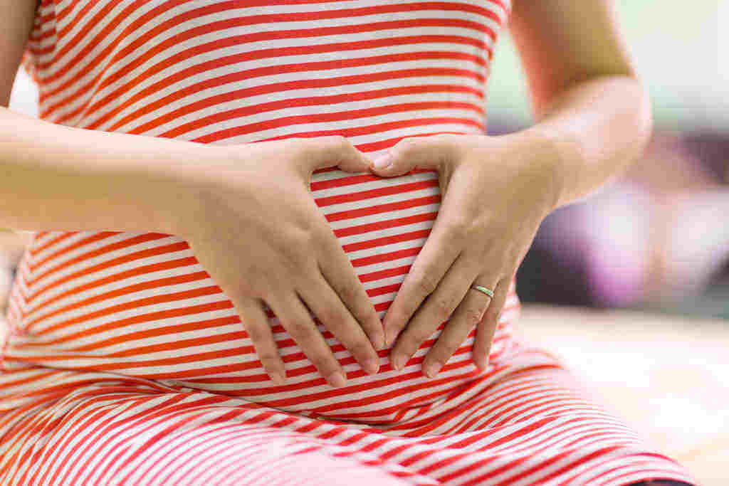 Perkembangan Janin di Usia Kehamilan 19 Minggu