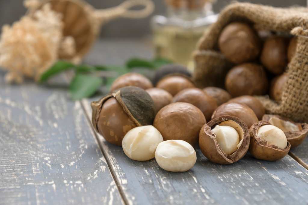 12 Manfaat Kacang Macadamia, Baik untuk Jantung hingga Tulang