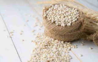 10 Manfaat Barley bagi Kesehatan (Kandungan Nutrisi Lengkap)