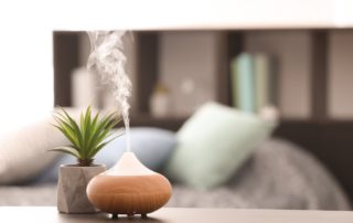 Humidifier (Pelembap Udara): 8 Fungsi, Bahaya, dan Cara Membersihkan