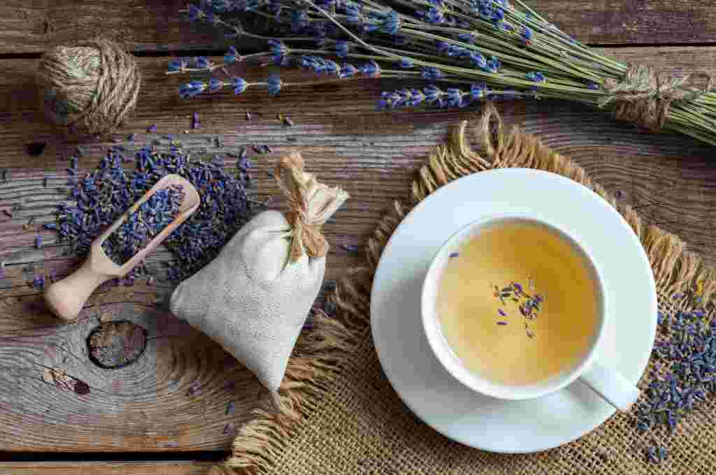 10 Manfaat Teh Lavender bagi Kesehatan dan Kandungannya