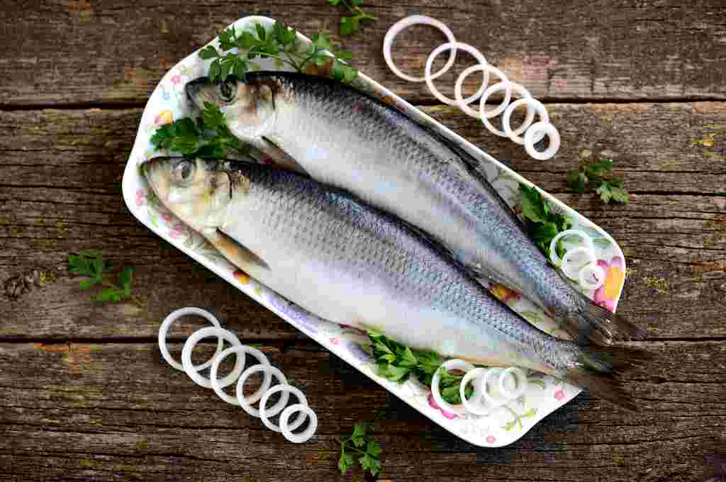 Ikan Haring: Nutrisi, Manfaat, Efek Samping, dll