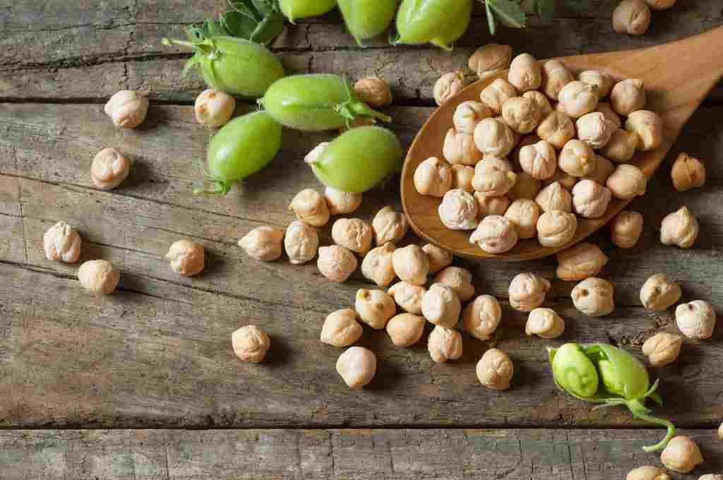 11 Manfaat Kacang Arab bagi Kesehatan (Nutrisi Lengkap)