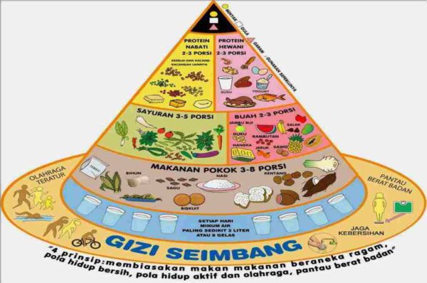 Piramida Makanan: Panduan Makan Sehat Beserta Contoh