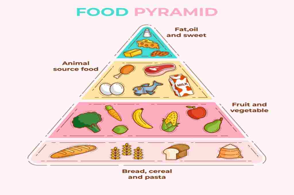 Piramida Makanan: Panduan Makan Sehat Beserta Contohnya