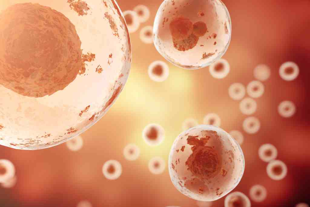Memahami Struktur dan Fungsi Mitokondria bagi Kesehatan Tubuh