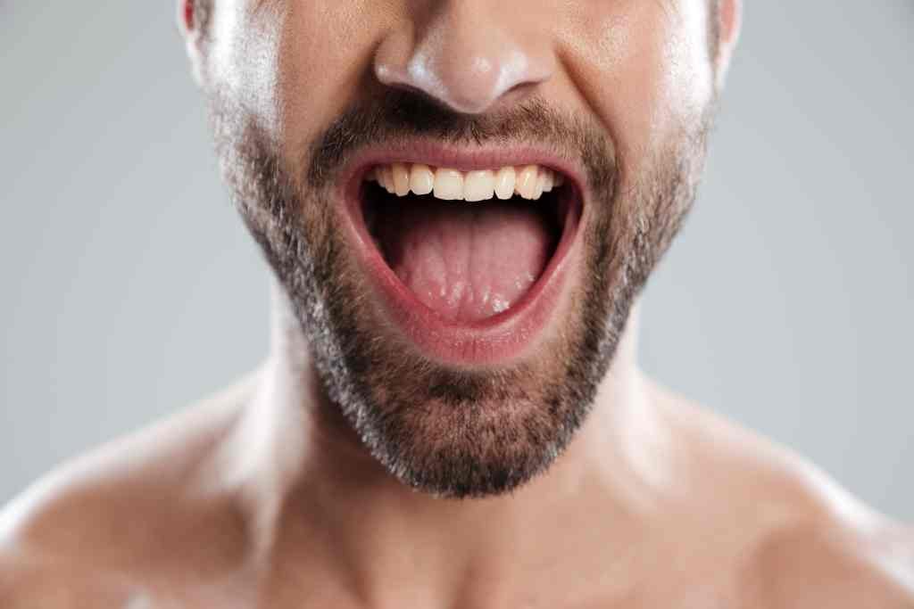Memahami Fungsi Mulut dan Perannya dalam Sistem Pencernaan