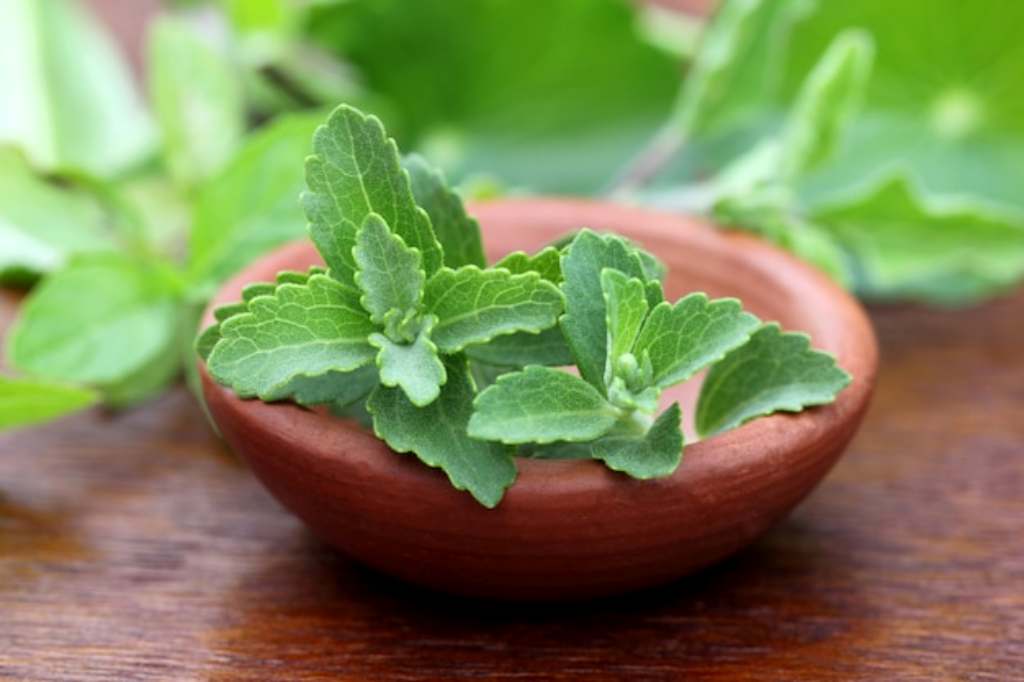 Pemanis Pengganti Gula, Ini 10 Manfaat Stevia untuk Kesehatan