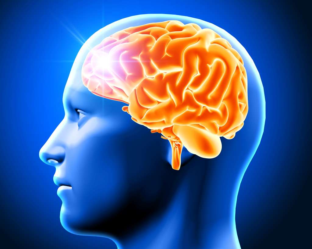 Hippocampus, Bagian Otak yang Berperan Penting untuk Mengingat
