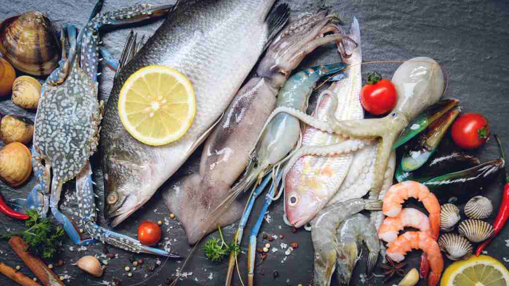 10 Jenis Ikan Laut dan Manfaatnya untuk Kesehatan
