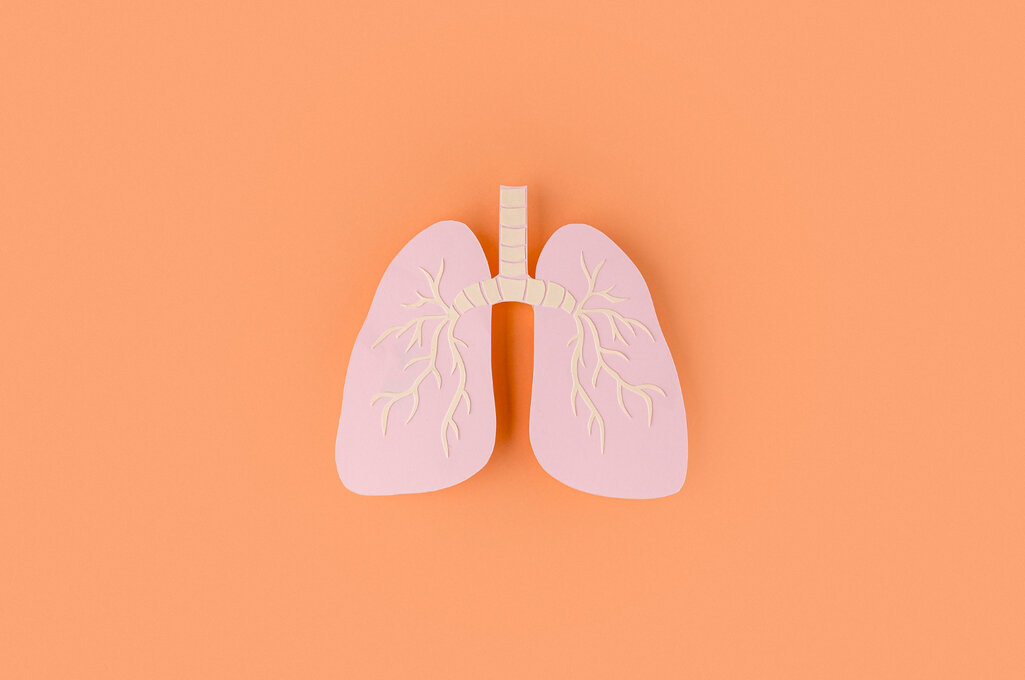 Fungsi paru paru manusia
