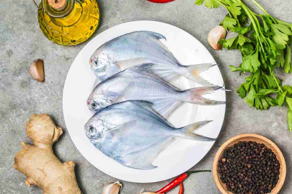 9 Manfaat Ikan Bawal, Kaya Nutrisi dan Lezat