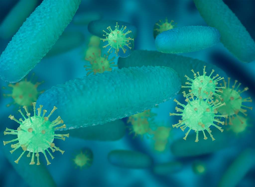Infeksi Bakteri: Gejala, Penyebab, Cara Mengobati, Pencegahan, dll