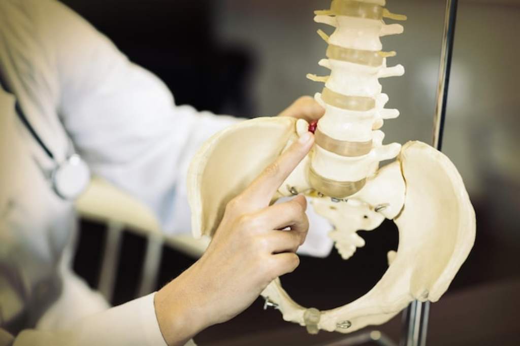 Mengenal Anatomi Tulang Panggul Manusia dan Gangguan yang Dapat Terjadi