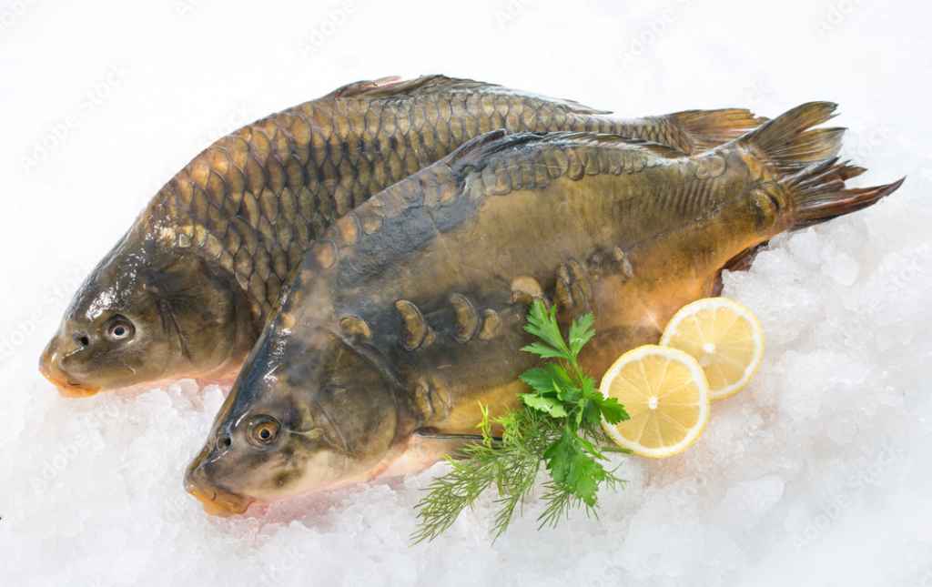 Sejumlah Manfaat Ikan Mas untuk Kesehatan