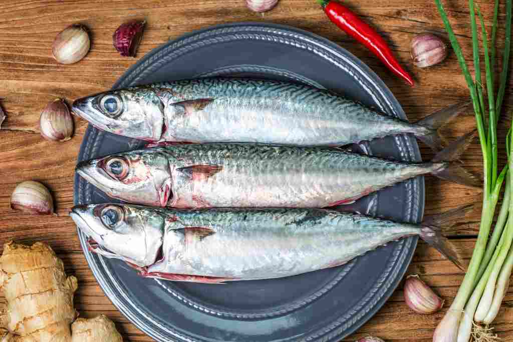 12 Manfaat Ikan Tenggiri, Turunkan Kolesterol hingga Cegah Penuaan Dini