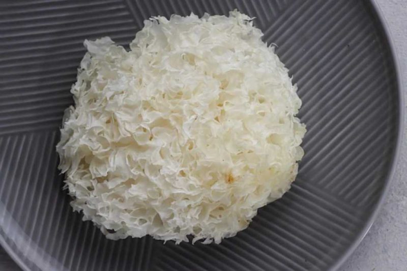 8 Potensi Manfaat Jamur Salju untuk Kesehatan DokterSehat