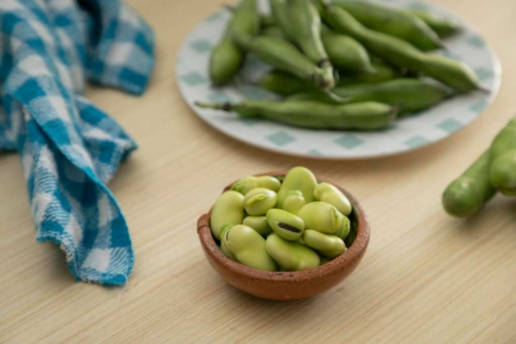 Sejumlah Manfaat Kacang Fava untuk Kesehatan